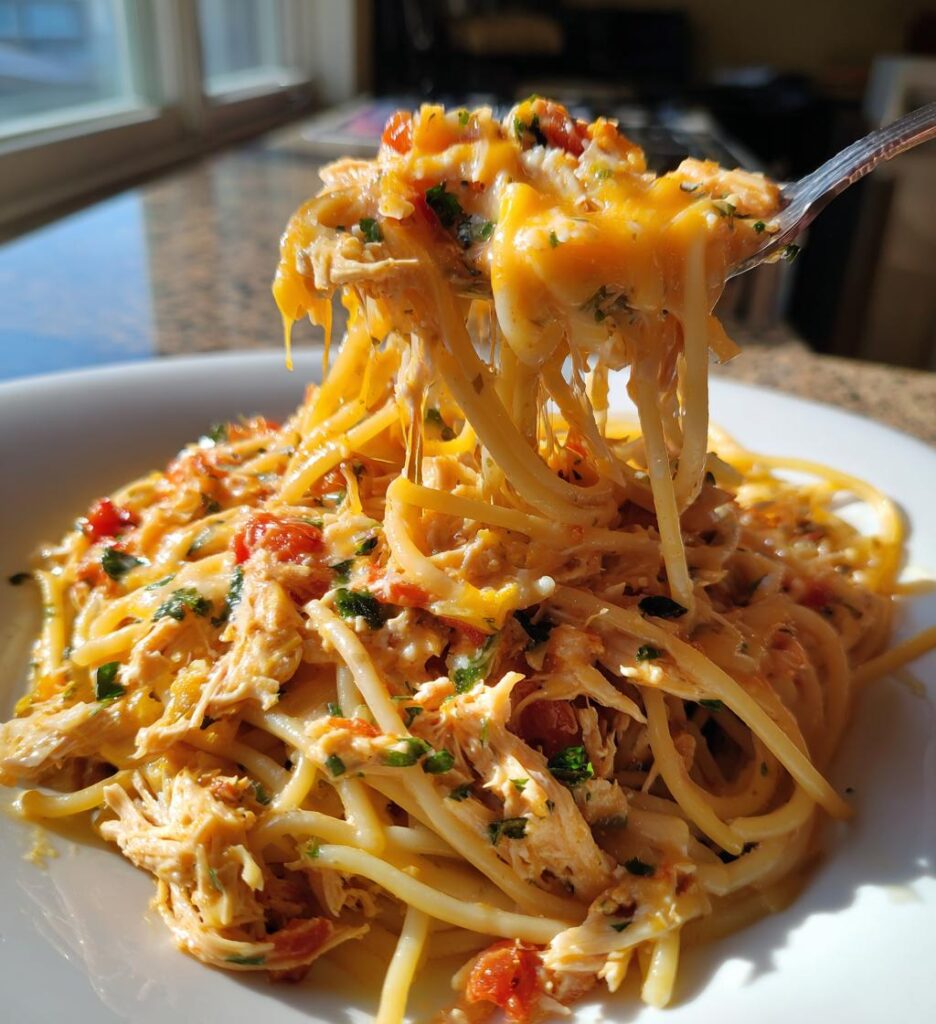chicken spaghetti with ro tel