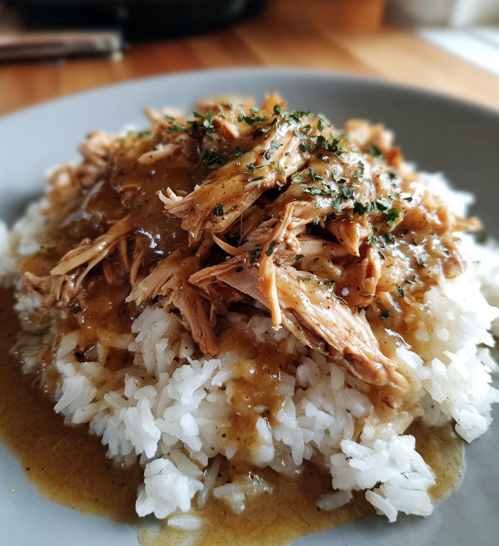 crockpot chicken and gravy - detail 1