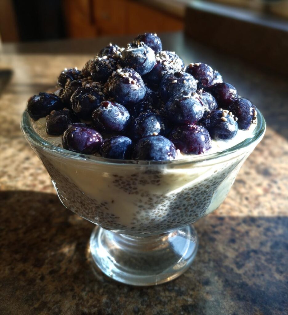 blueberry chia seed pudding